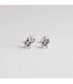 Aretes Star Topaz