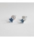 Aretes Star Topaz