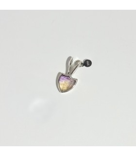 Dije delicate shield