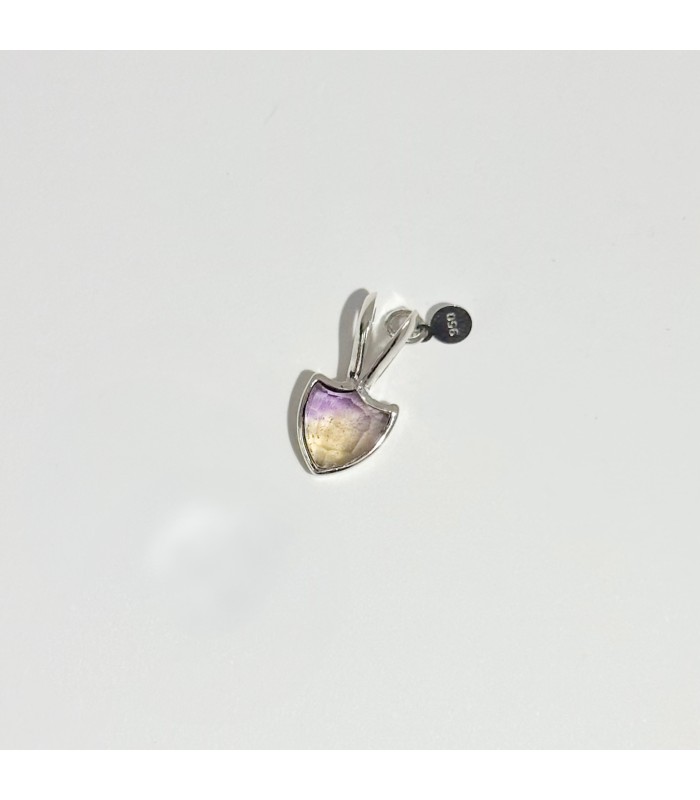 Dije delicate shield