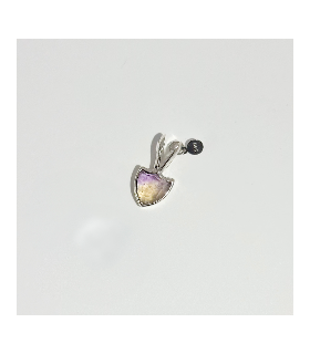 Dije delicate shield